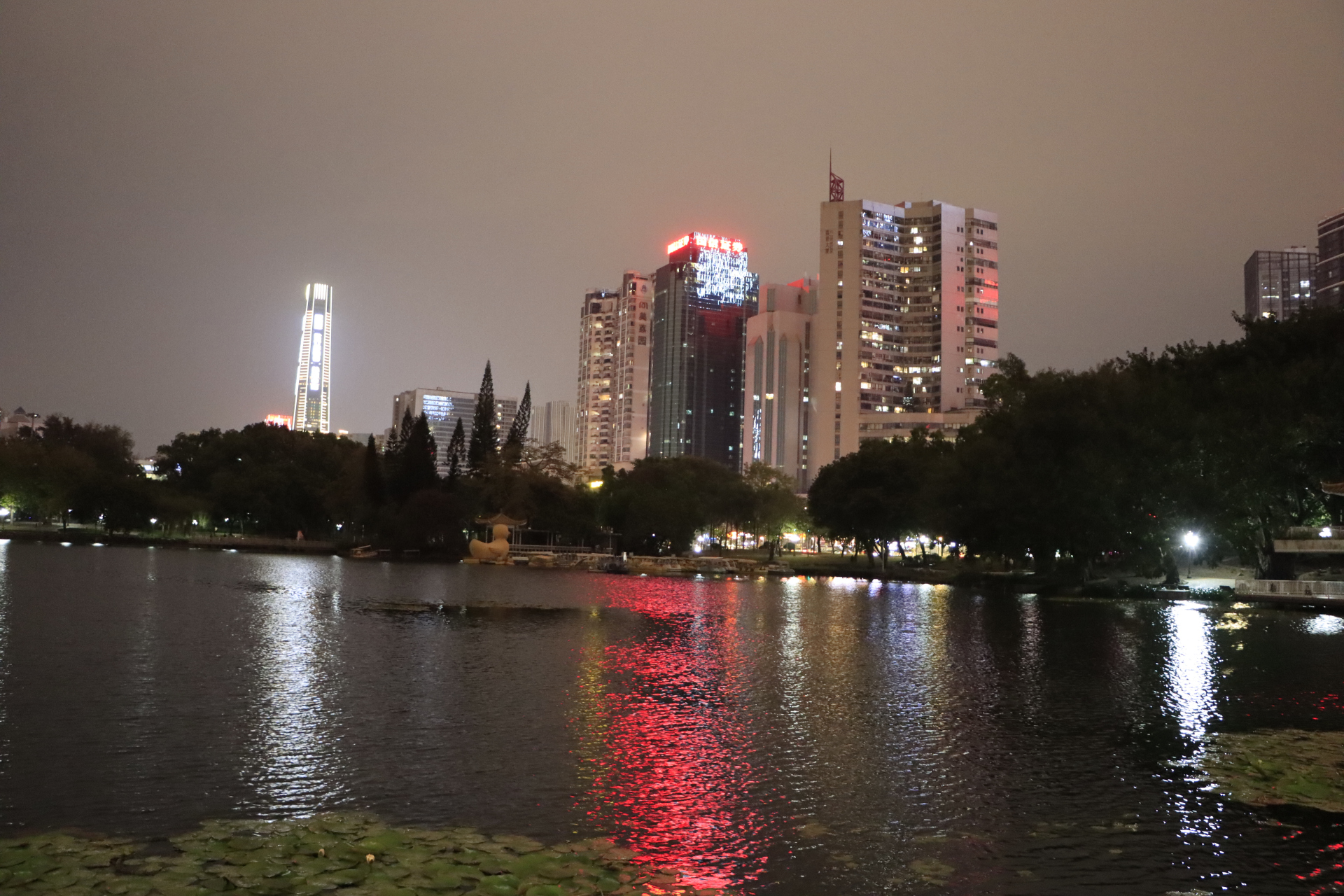 深圳罗湖荔枝公园夜景