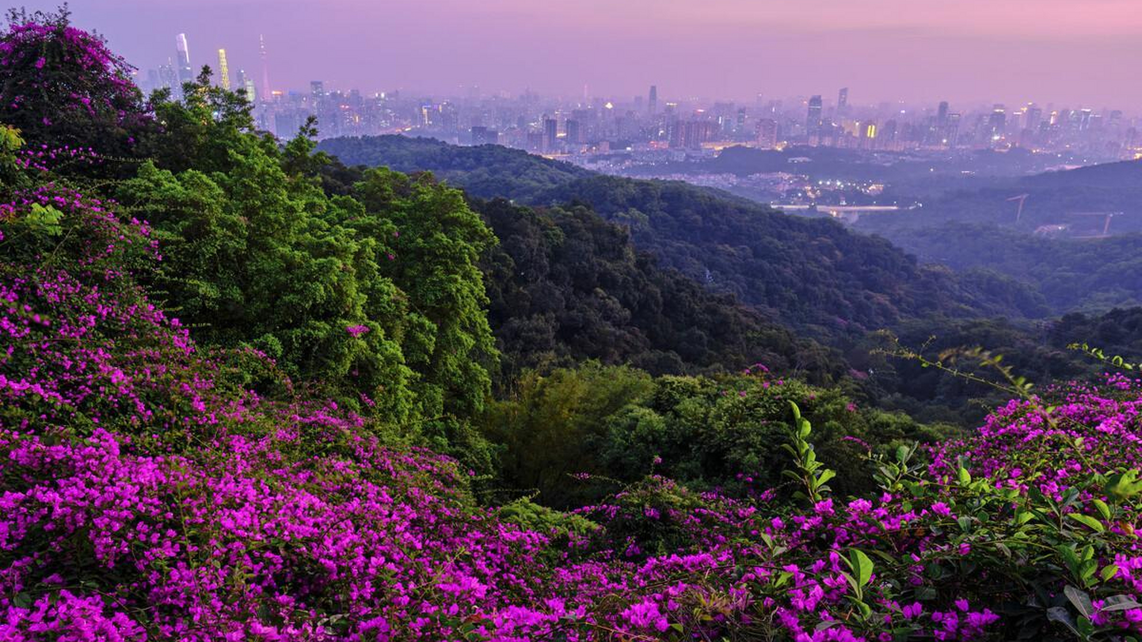 广州白云旅游景点图片