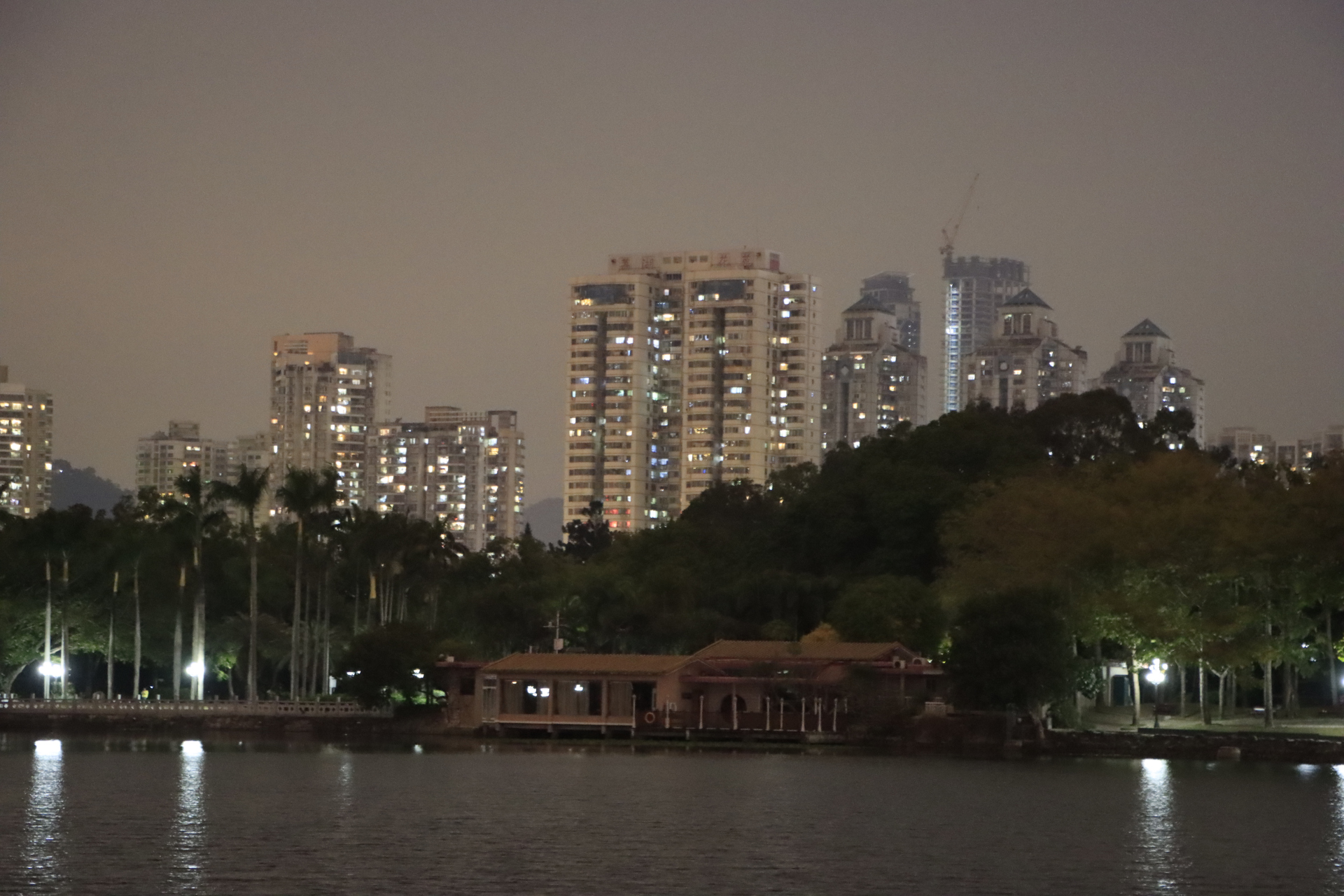 深圳罗湖荔枝公园夜景拍摄