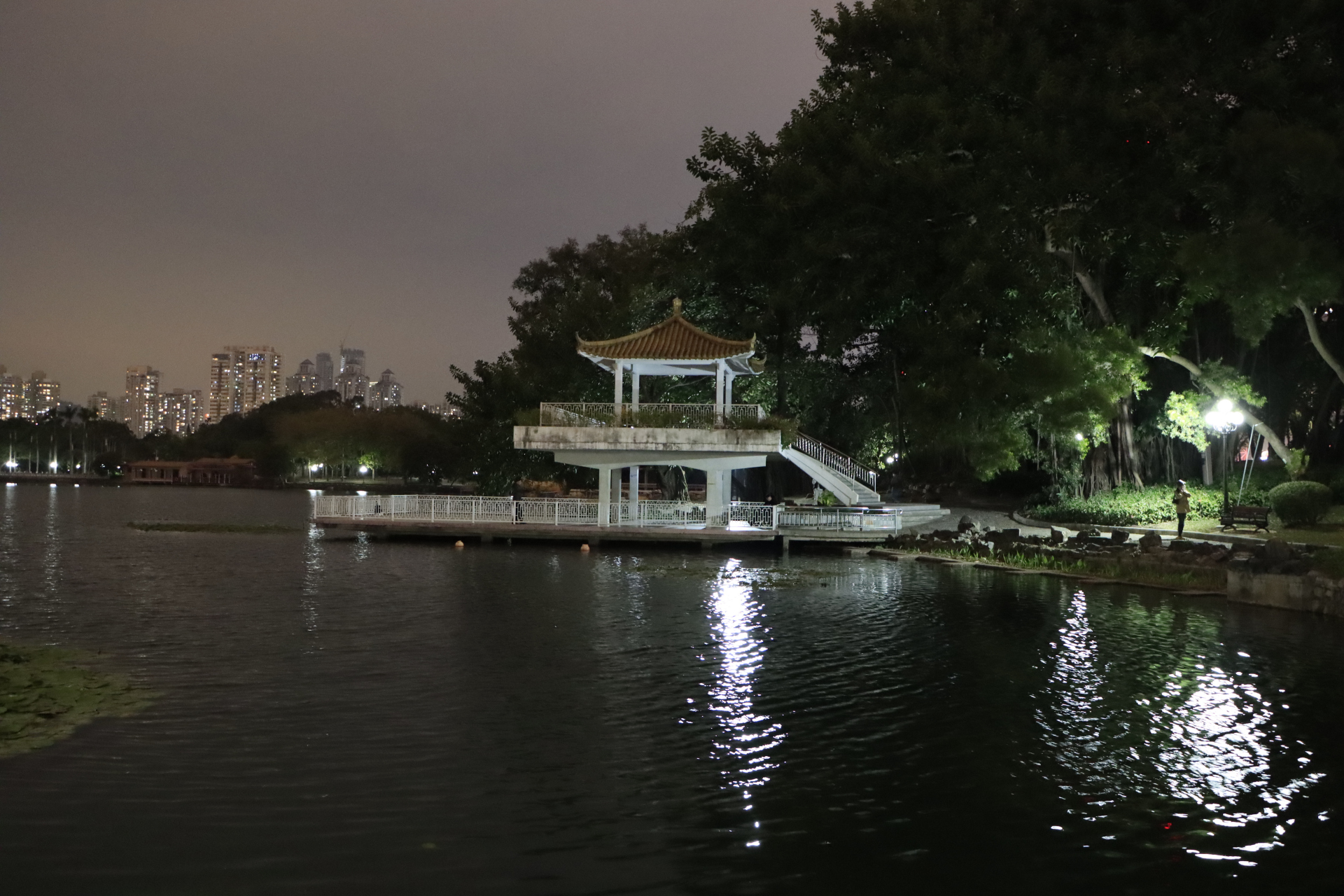 深圳罗湖荔枝公园夜景拍摄