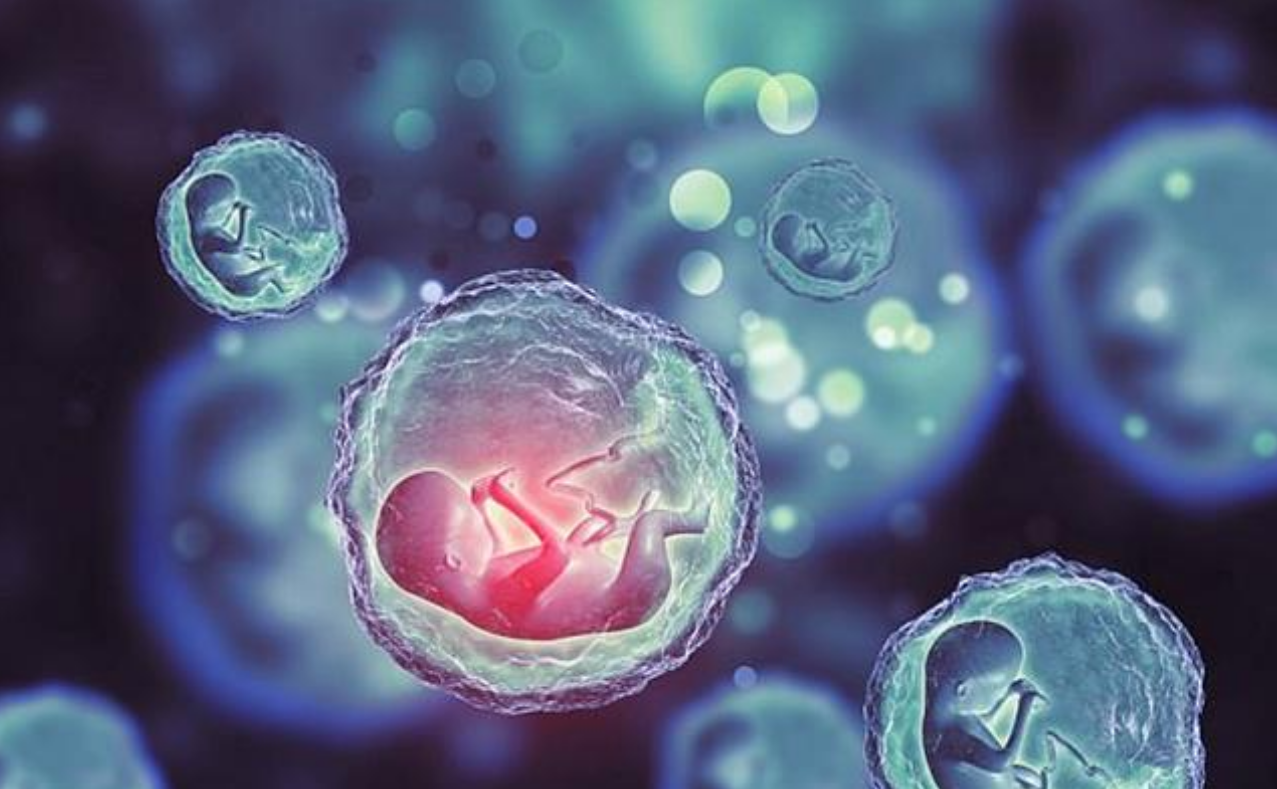 回顾:花50万"买精生子"惨遭网友痛批的女子,现在后悔了吗?