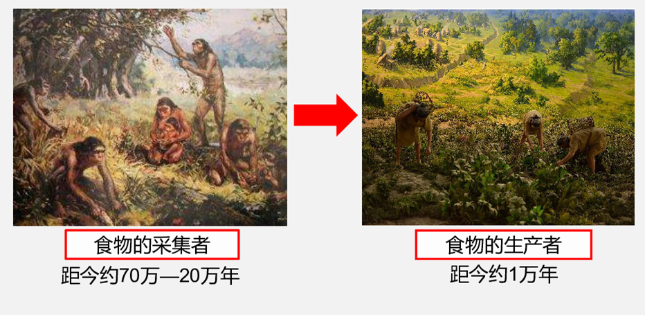 新仙女木事件:距人类最近的史前大灭绝,却催生了最早的农耕文明