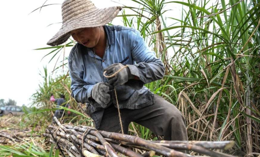 大山的貧困,促使麥瓊芳毅然開啟公益之路