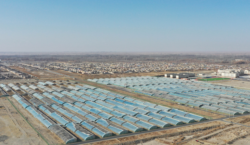 新疆和田:民丰县调整优化种植结构 让村民钱包鼓起来