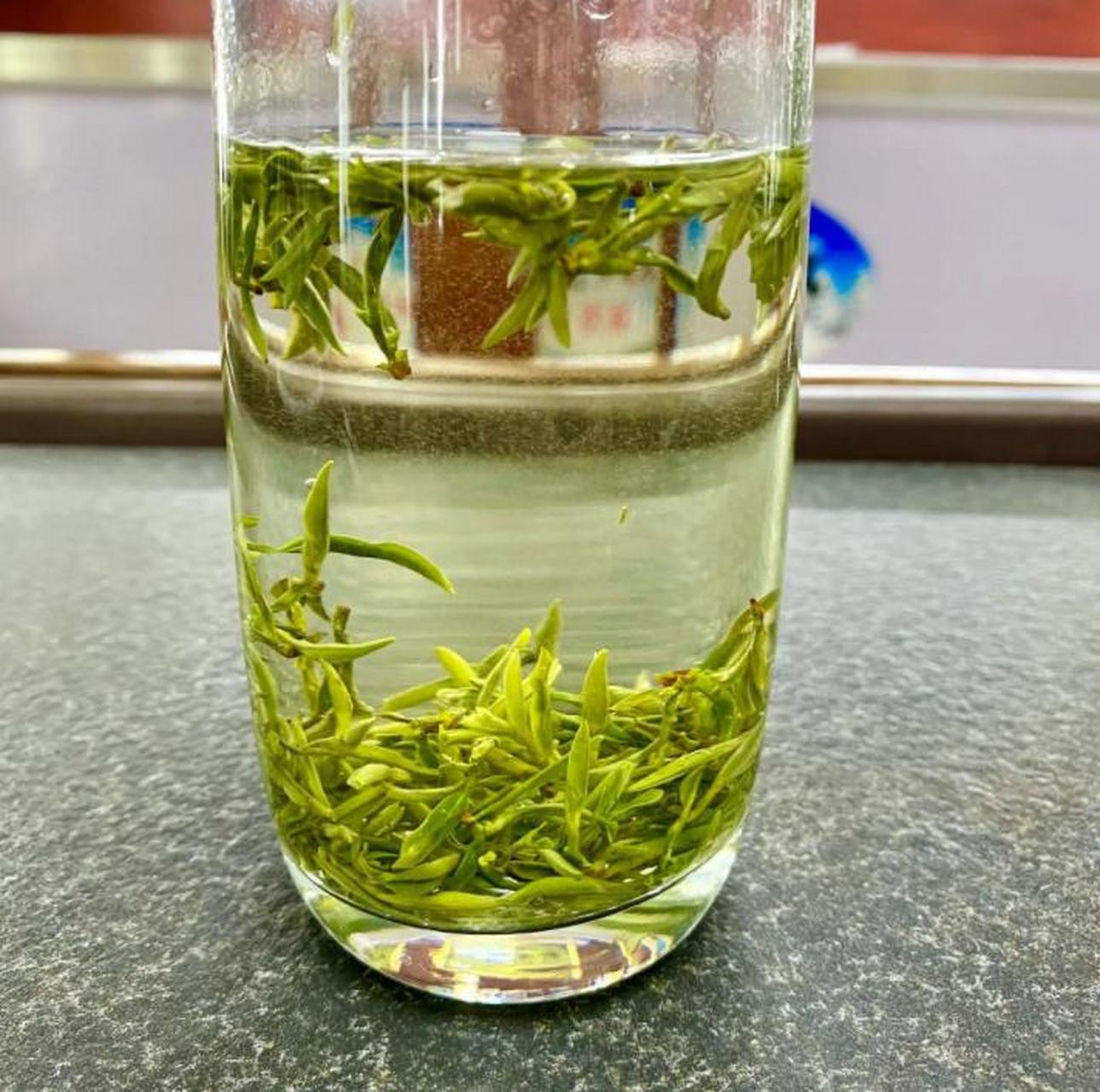 洞庭碧螺春在茶叶界中享有极高的声誉,它是碧螺春的真正产区,位于