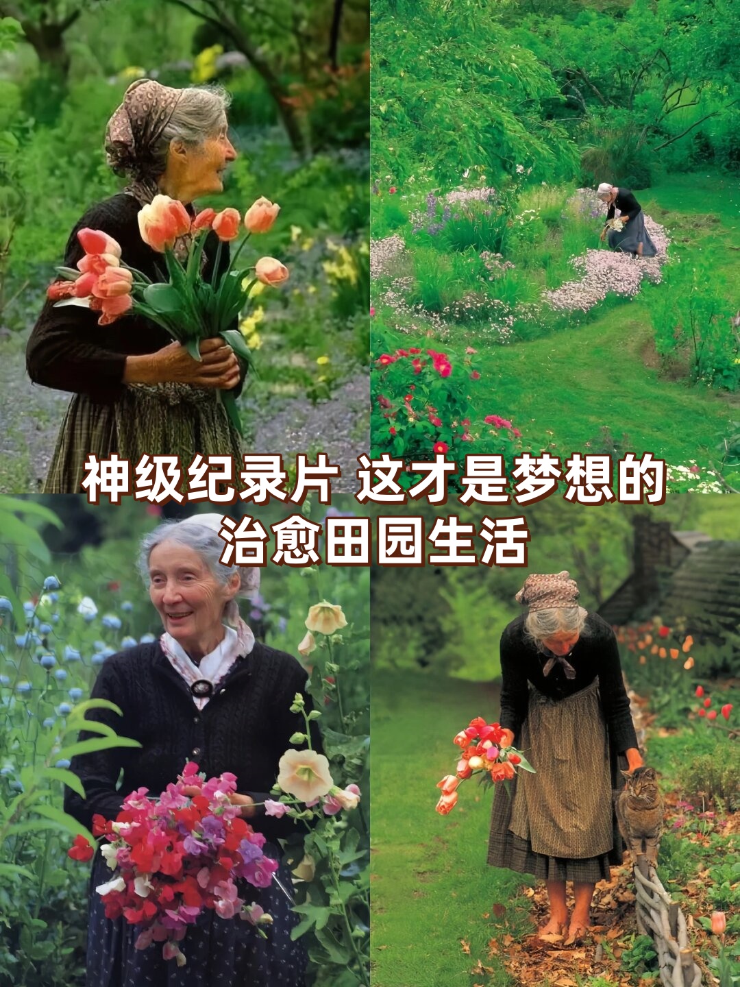 纪录片《塔莎杜朵,一个人的田园生活》 让我们一起走进塔莎奶奶的