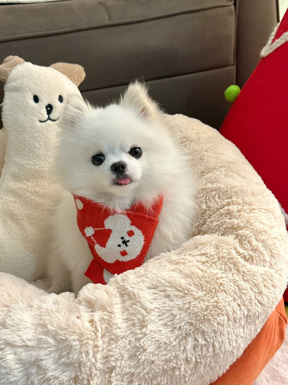 "小呆瓜"这个昵称真是可爱极了,让人立刻联想到一只呆萌无辜的宠物狗