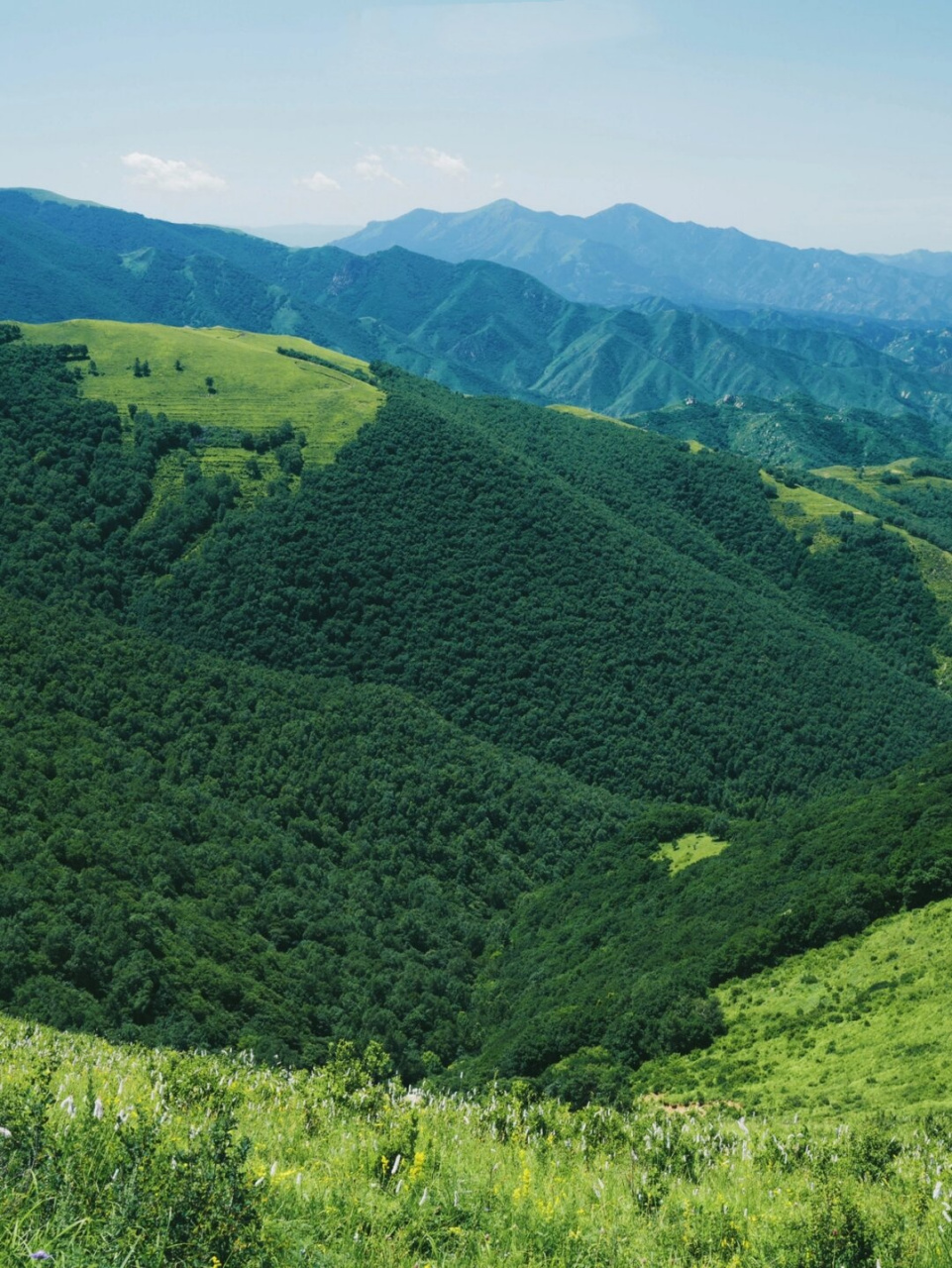 想要寻找一处宁静的天堂,那么北京周边的这些高山草甸绝对是你的不二