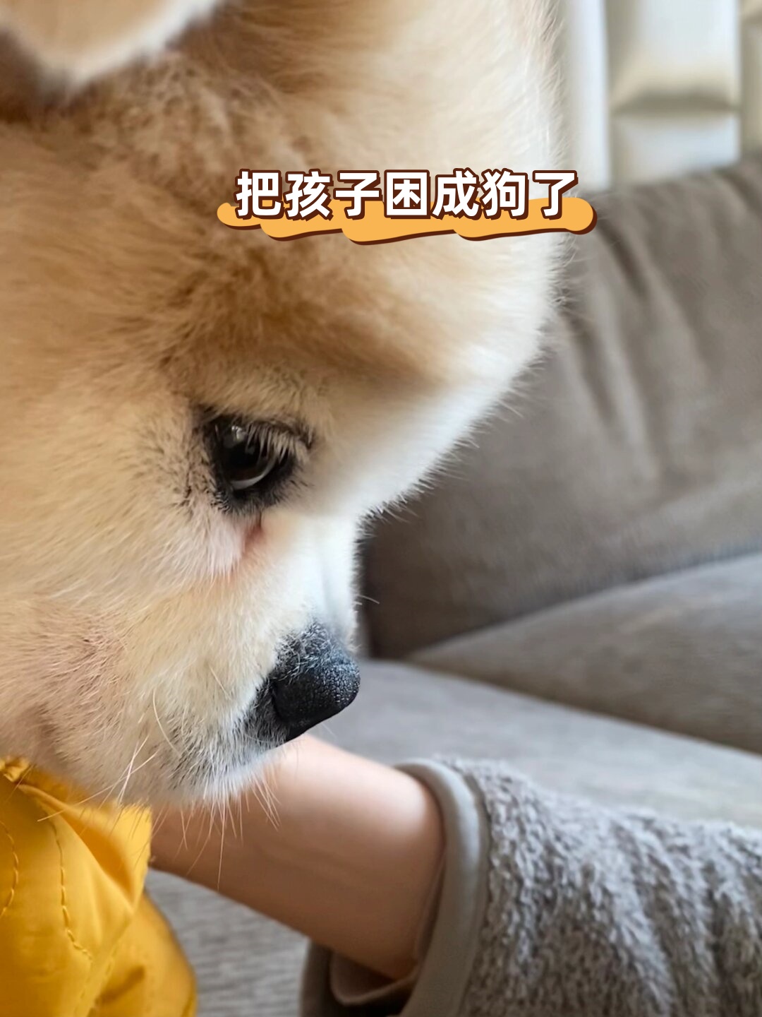 每天陪孩子学习,玩耍,感觉他就像一只被困住的小狗