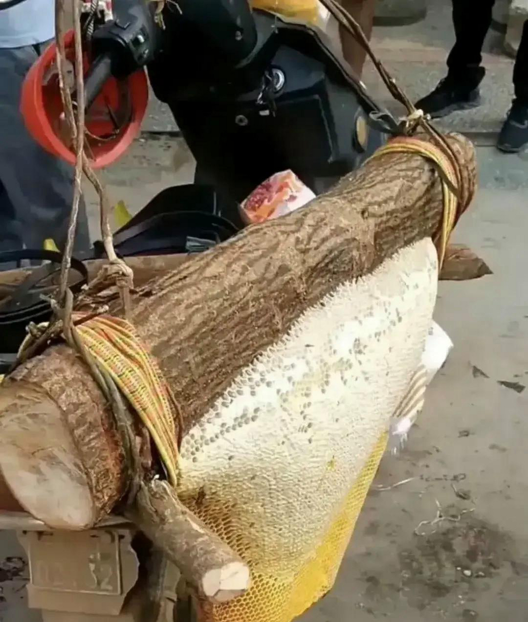 一百多块一斤的蜂蜜是真的吗吗(一百多块一斤的蜂蜜是真的吗吗视频) 一百多块一斤的蜂蜜是真的吗吗(一百多块一斤的蜂蜜是真的吗吗视频)