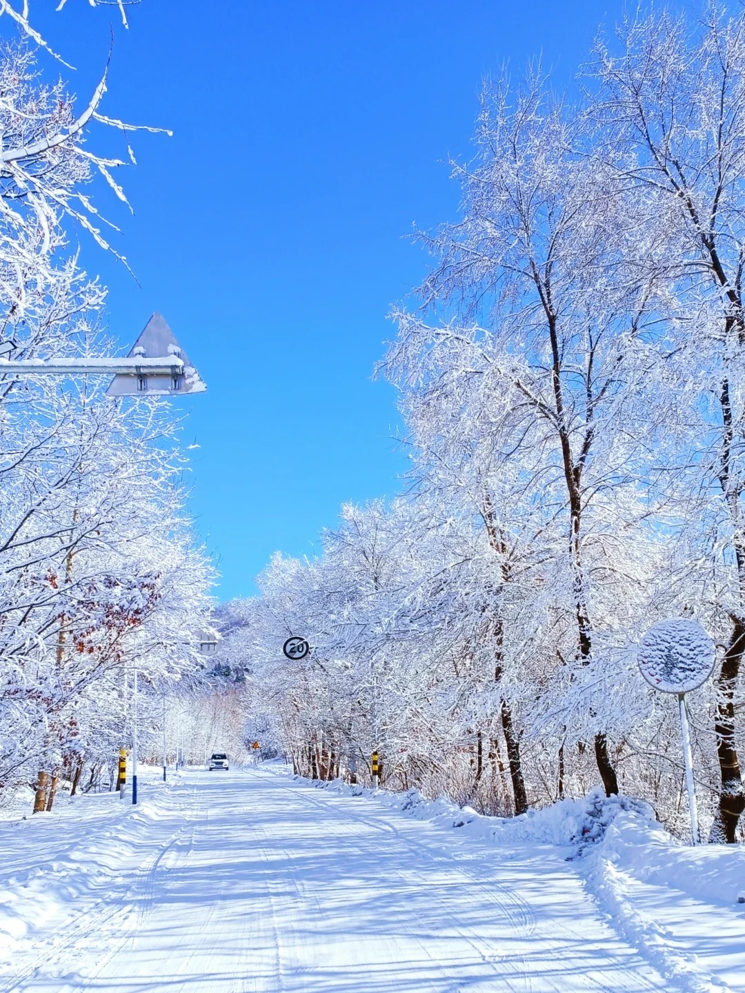 吉林省内冬季旅游景点图片