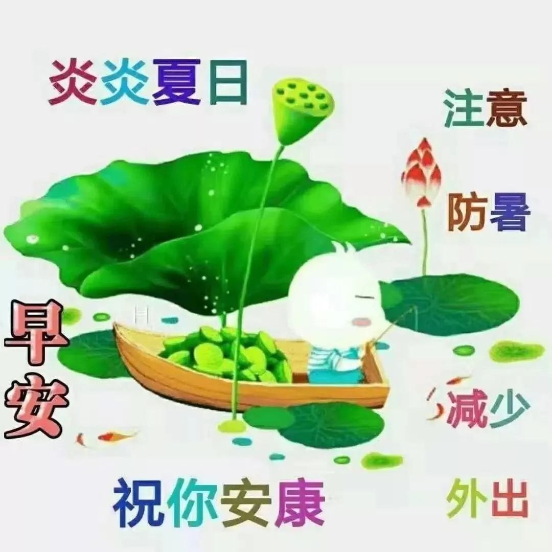 每天早安问候语大全,每天一句早安语,暖心陪伴每一天