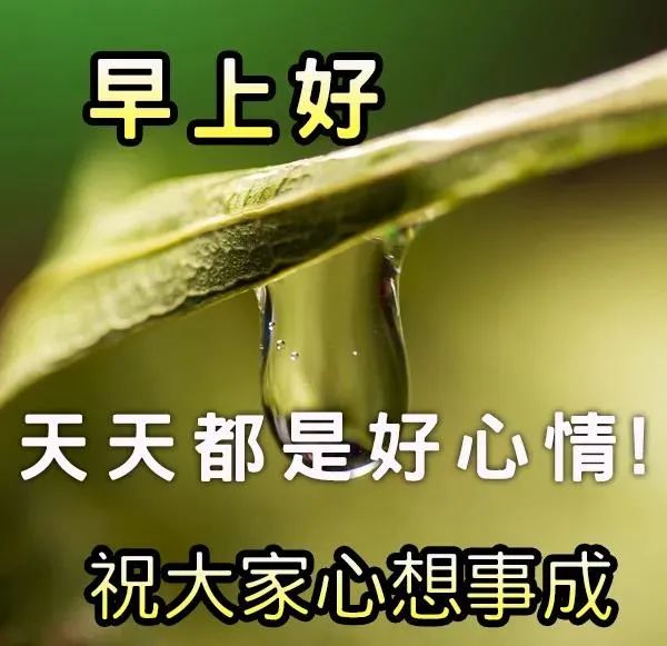 周四早晨愉快 愿你精神饱满