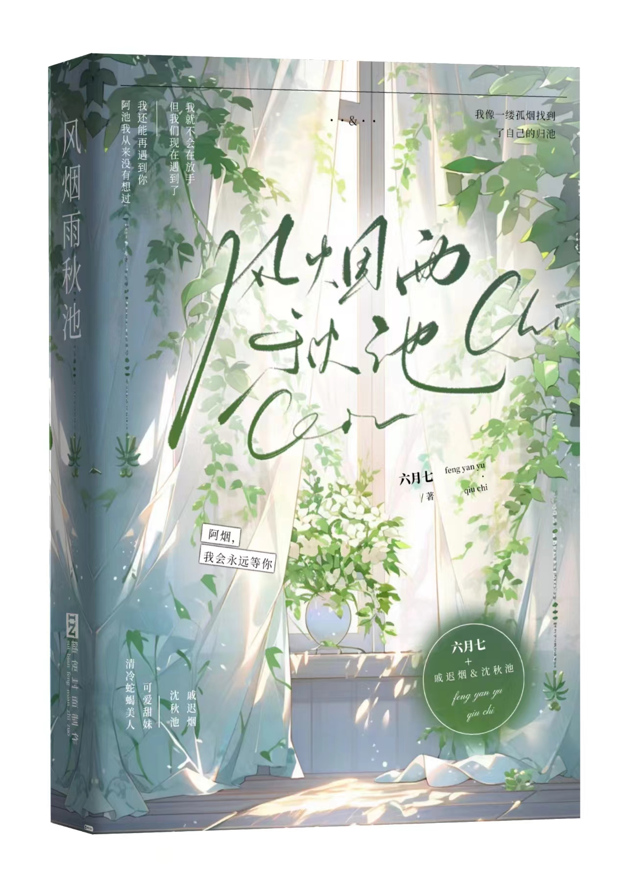 风烟雨秋池