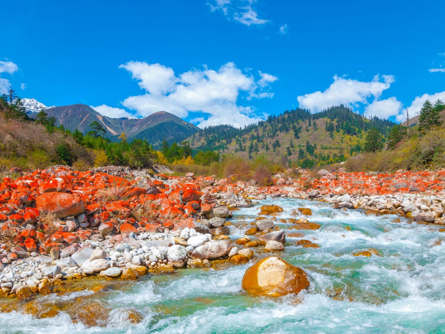 寒假旅游好去处#海螺沟:位于青藏高原东缘的极高山地,具体在贡嘎山