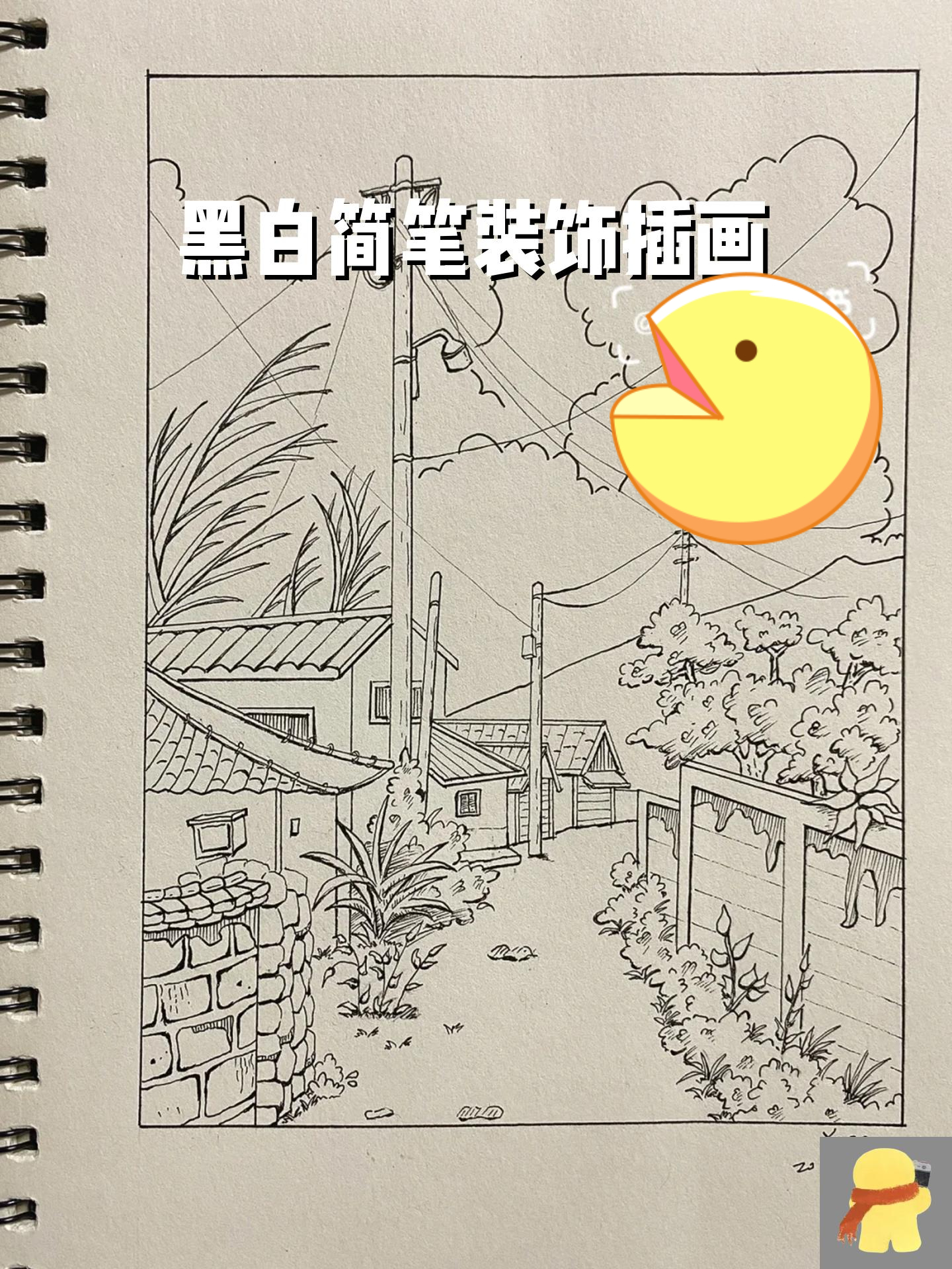 黑白简笔装饰插画 本子是16k素描本 具体尺寸图片有标注 画笔用了针管