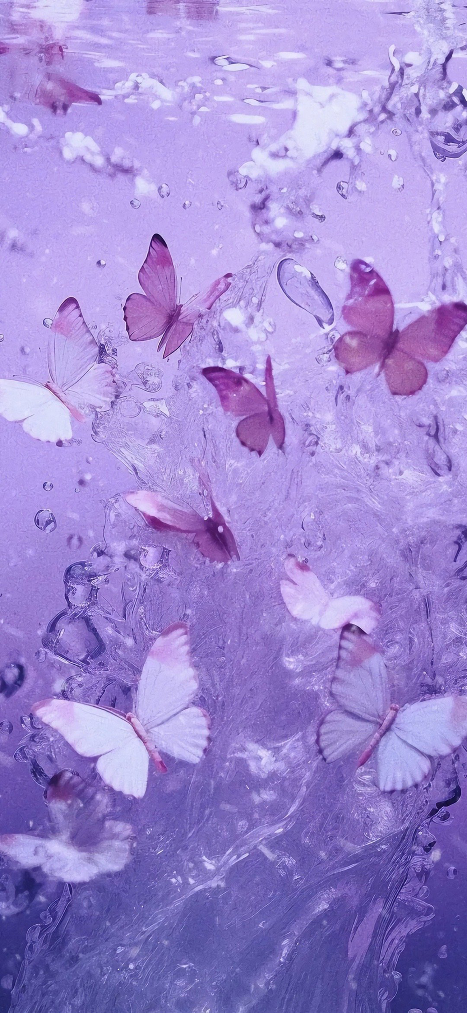 水中梦幻紫色蝴蝶手机壁纸 090500