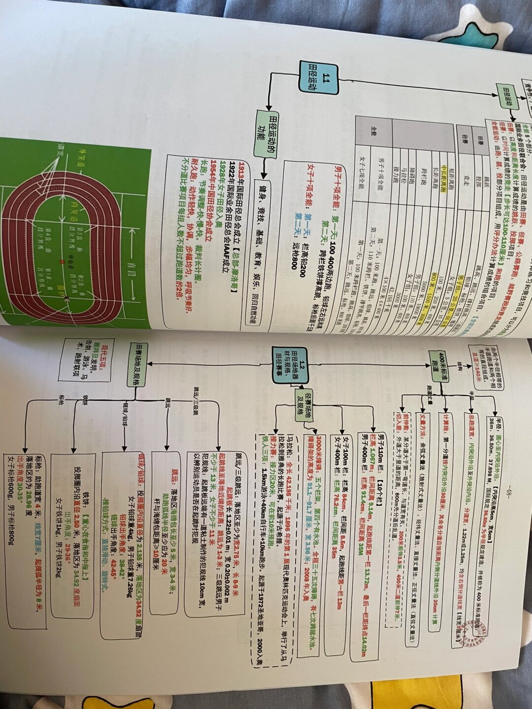 考编体育学科专业知识