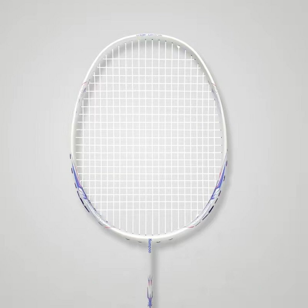 熏风ak7球拍   熏风ak7球拍是一款专为进攻型球员设计的羽毛球拍.