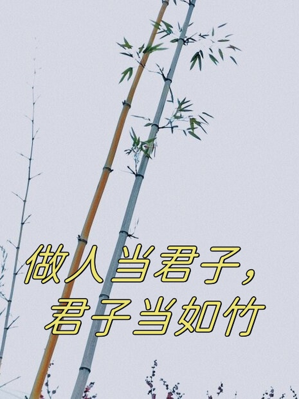 做人当君子,君子当如竹  做人应当像君子一样,而君子应当像竹子一样.