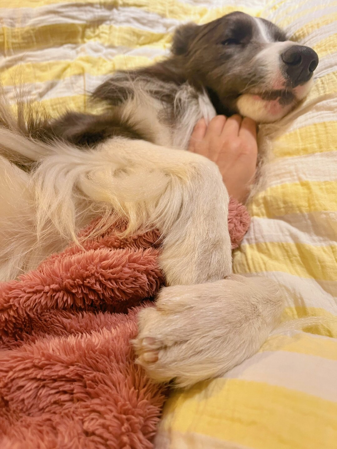 抱着妈妈胳膊睡觉的乖宝宝