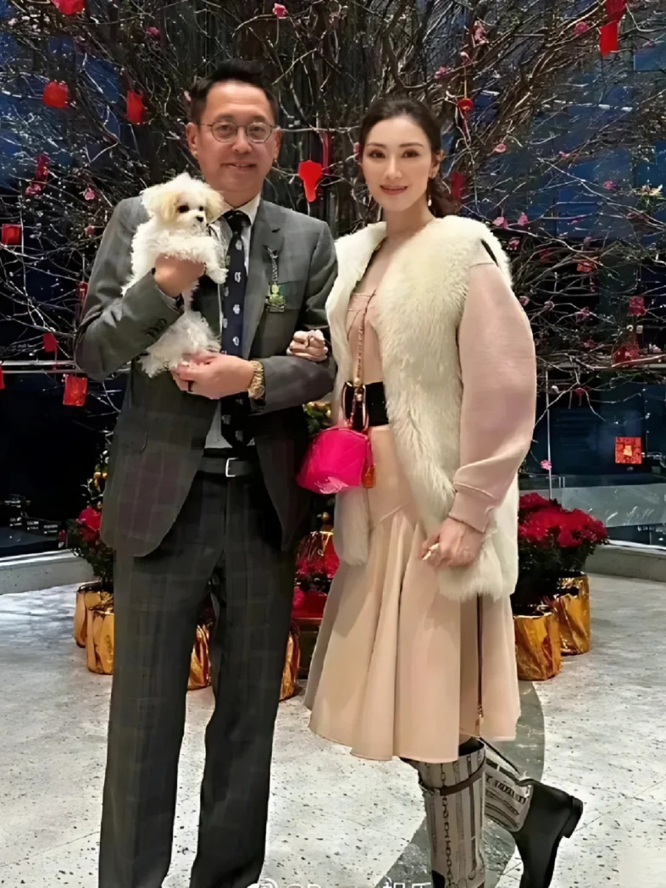 李嘉欣许晋亨结婚图片