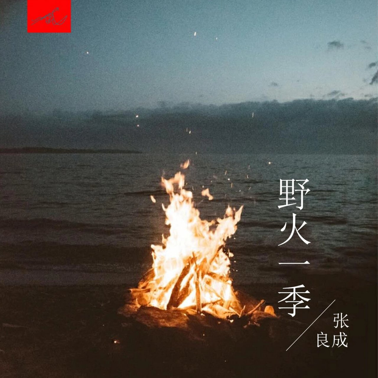《野火一季》  张良成  听着歌,感受相聚与相离,就像野火燃烧了一季.
