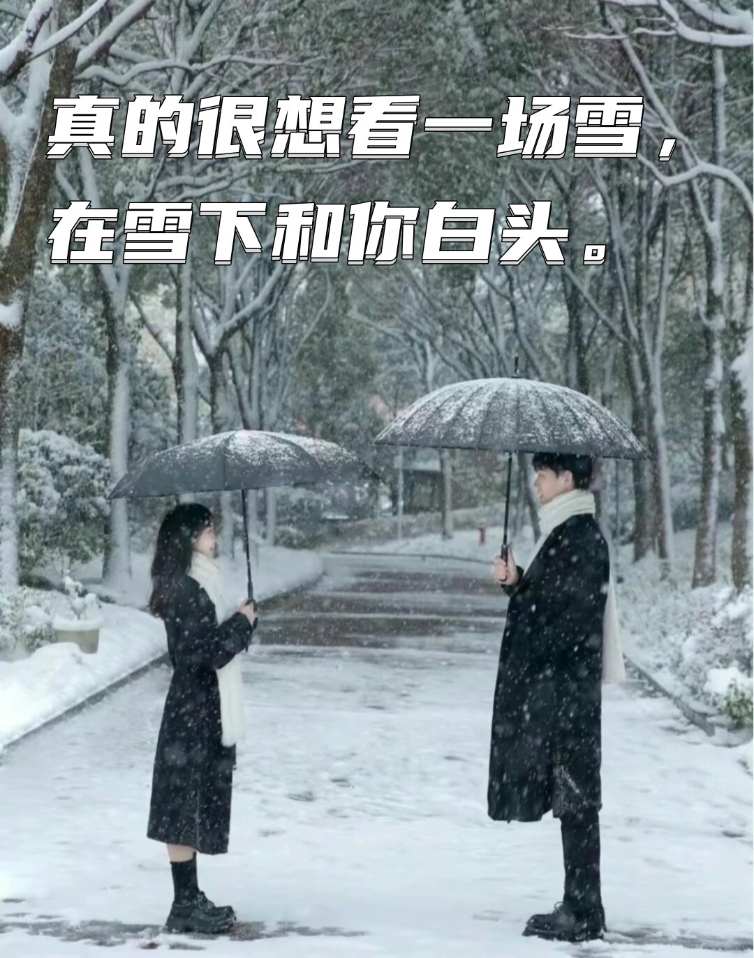 雪中漫步白头图片图片