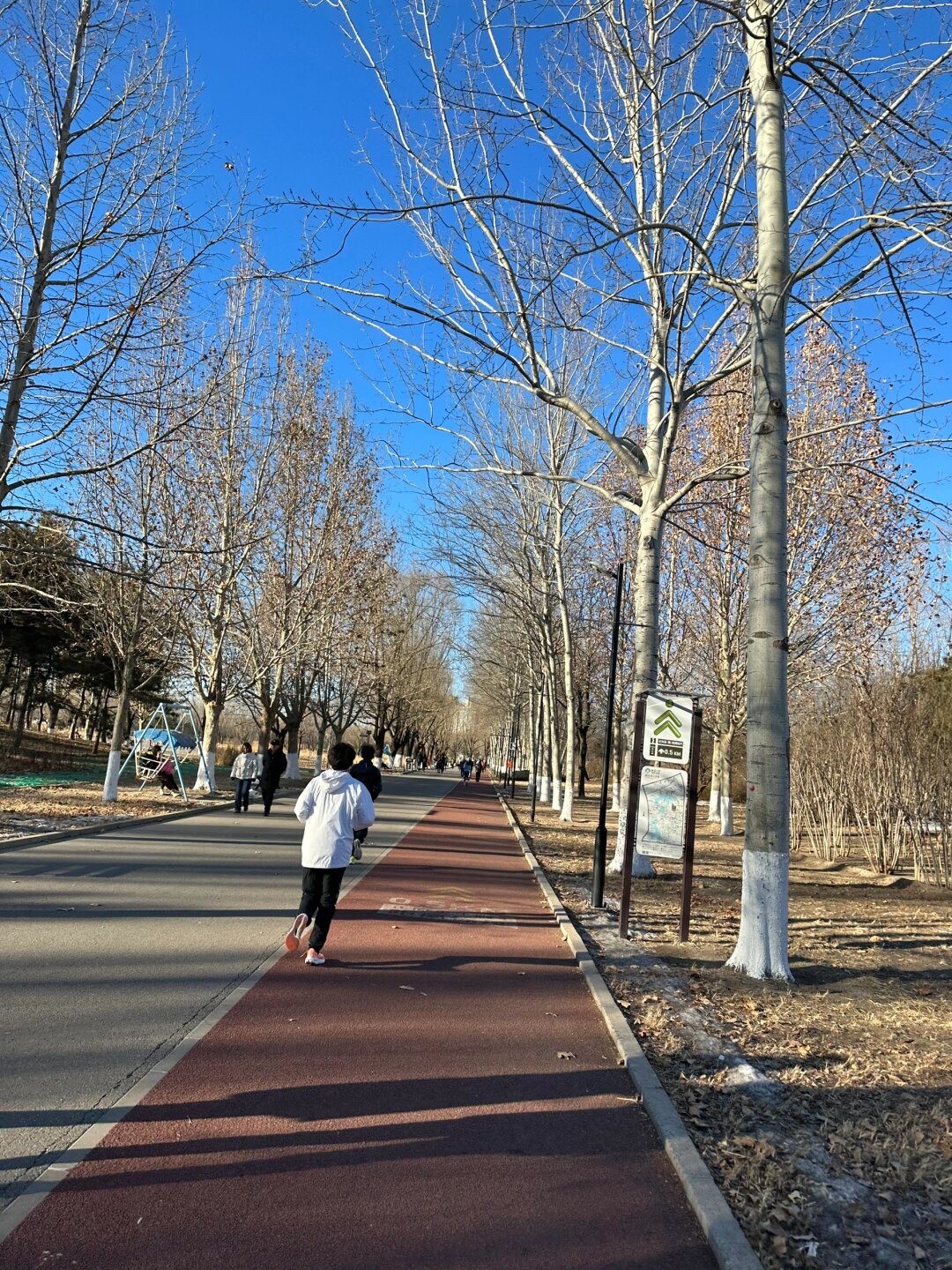 朝阳公园的跑道总是热闹非凡,我遇到