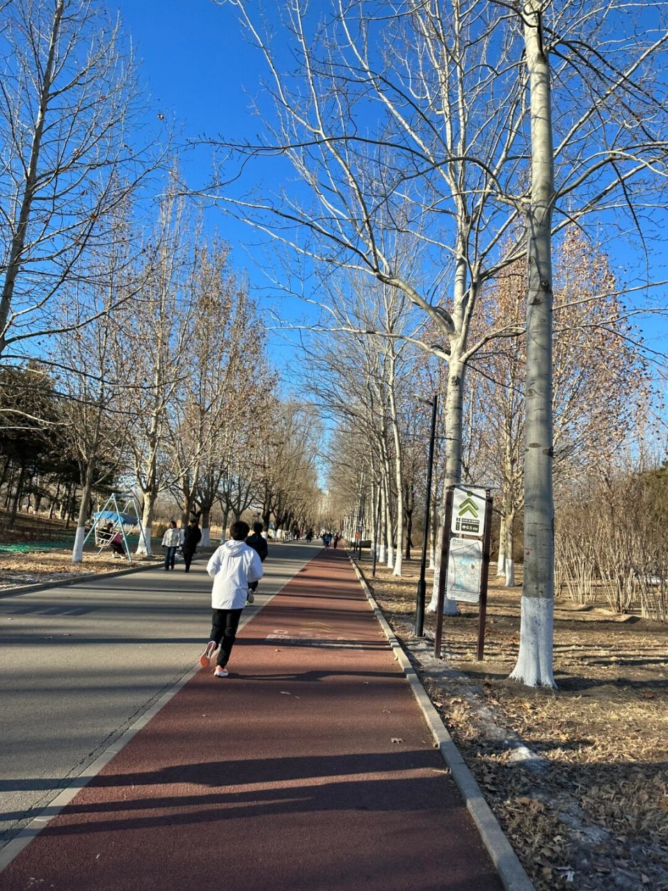 周末打卡朝阳公园小怪兽  每到周末,朝阳公园就成了我跑步的圣地.