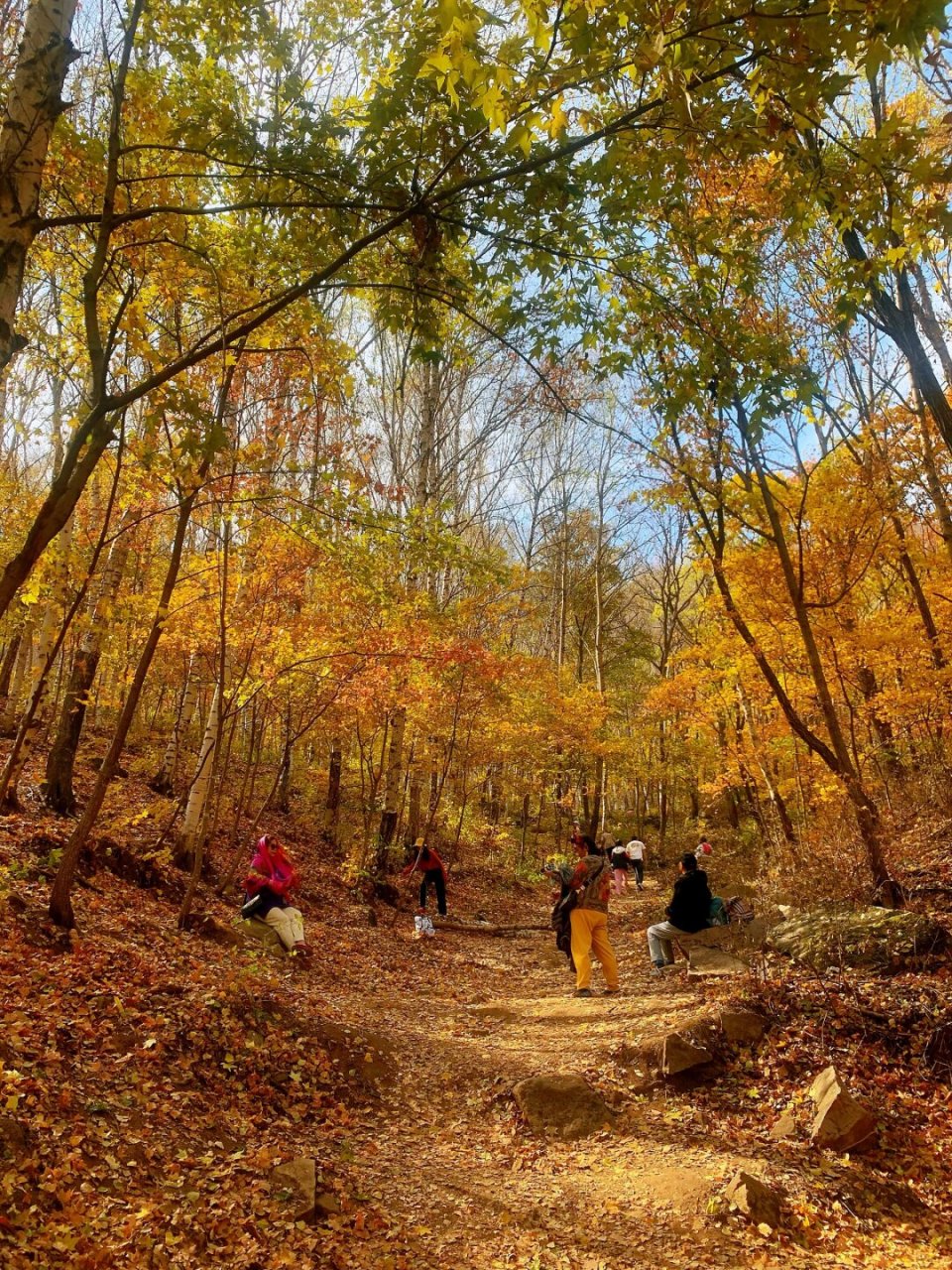 北京一周一山 | 适合小白秋季徒步的十大路线  玉渡山:位于北京市延庆