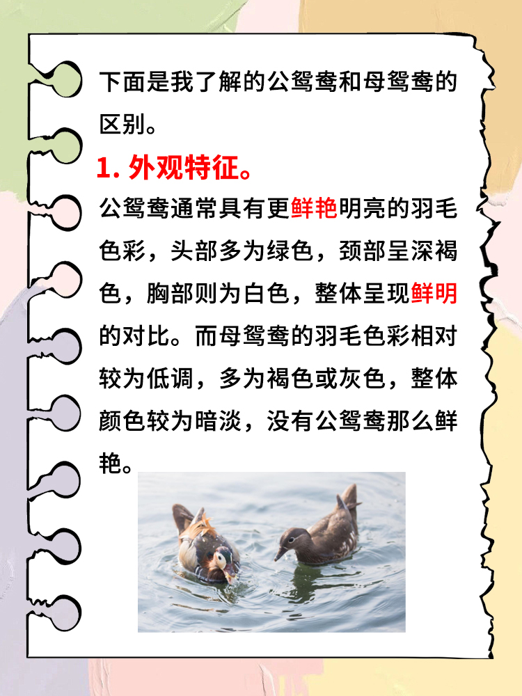 公鸳鸯和母鸳鸯的区别  下面是我了解的公鸳鸯和母鸳鸯的区别.
