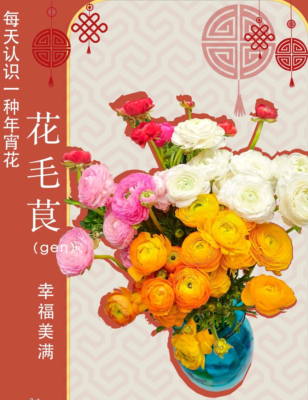 长茎毛茛
