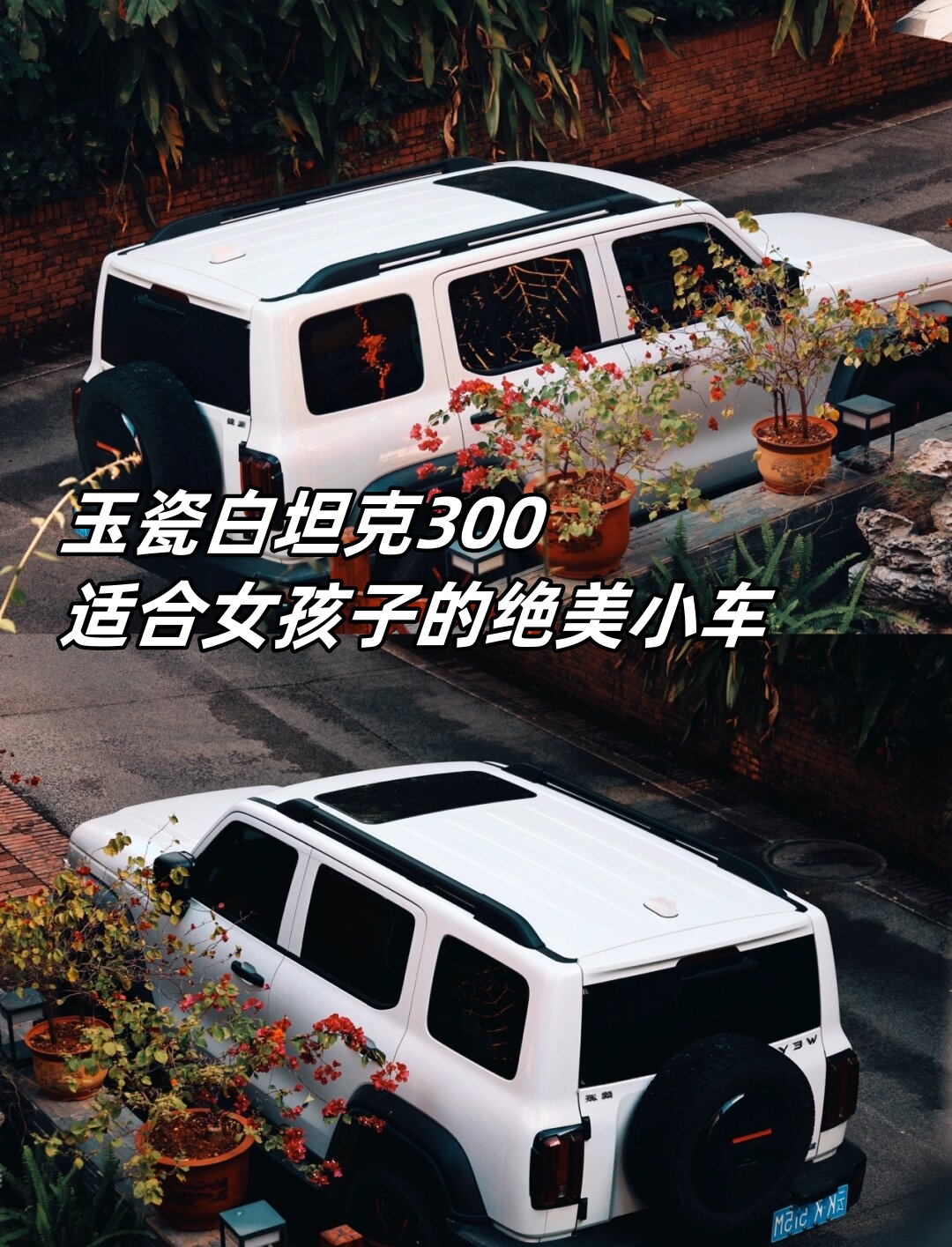 玉瓷白坦克300适合女孩子的绝美小车