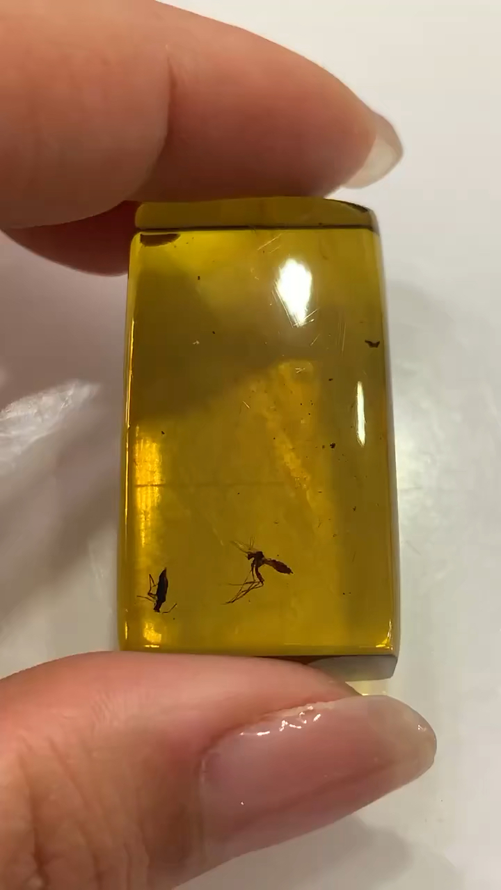 精品茶珀虫琥珀牌子吊坠奇蝽 蚊子重8.3克尺寸36/20/12