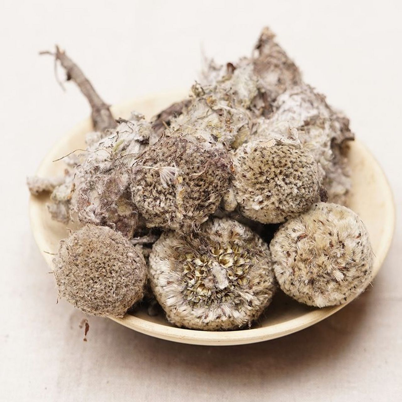 青藏高原棉头雪莲花#雪莲花# #中草药# #健康# #热点引擎计划