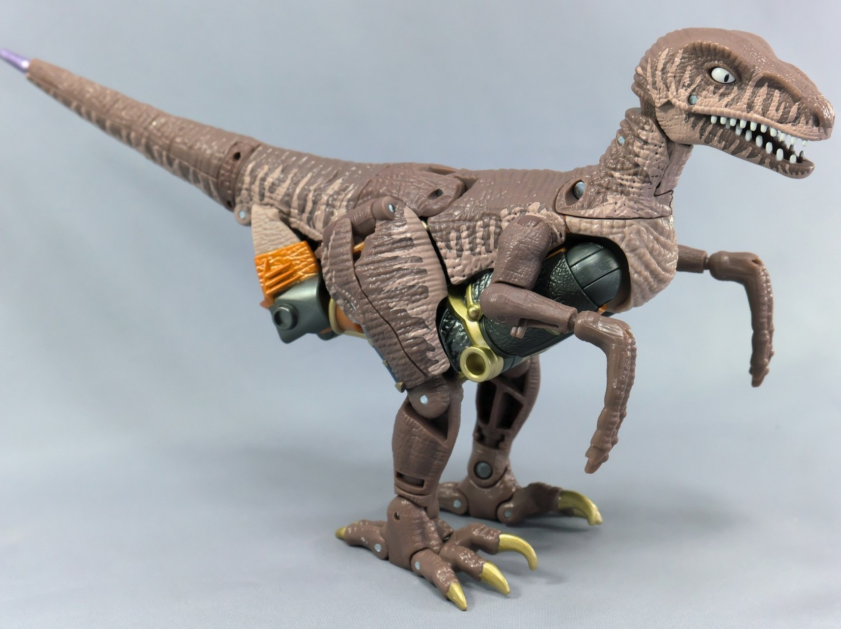 模型欣赏:变形金刚 takara tomy 日版 bw again 超能勇士 王国 恐龙