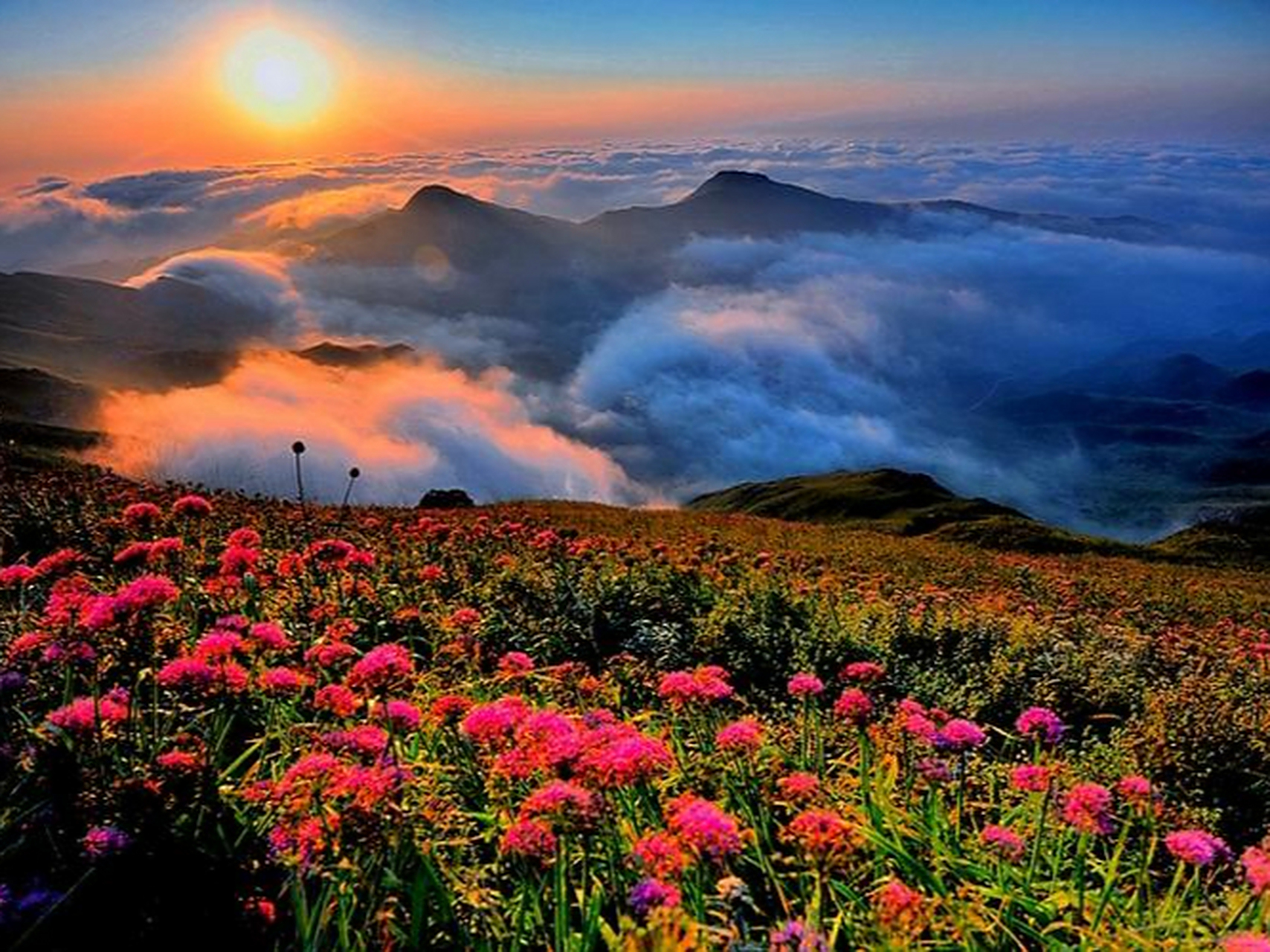 寒假旅游好去处#韭菜坪:位于贵州省毕节市赫章县兴发乡,被誉为"东方