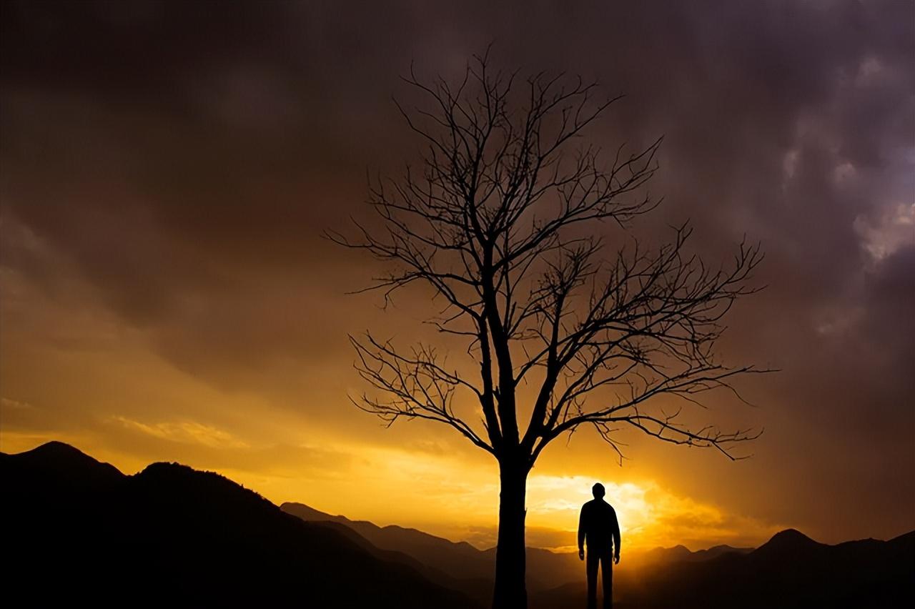 回顾96岁老人绝食4天安然离世,曾言:想走的体面,不想给子女添麻烦