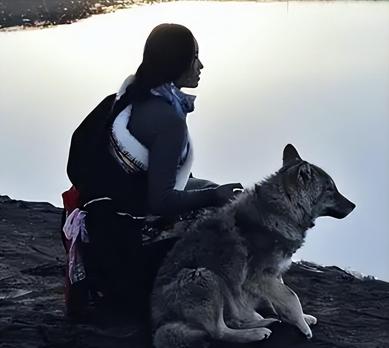 狼是一種桀驁不馴的肉食野生動物,其體內嗜血的野性也遠非人所能馴服