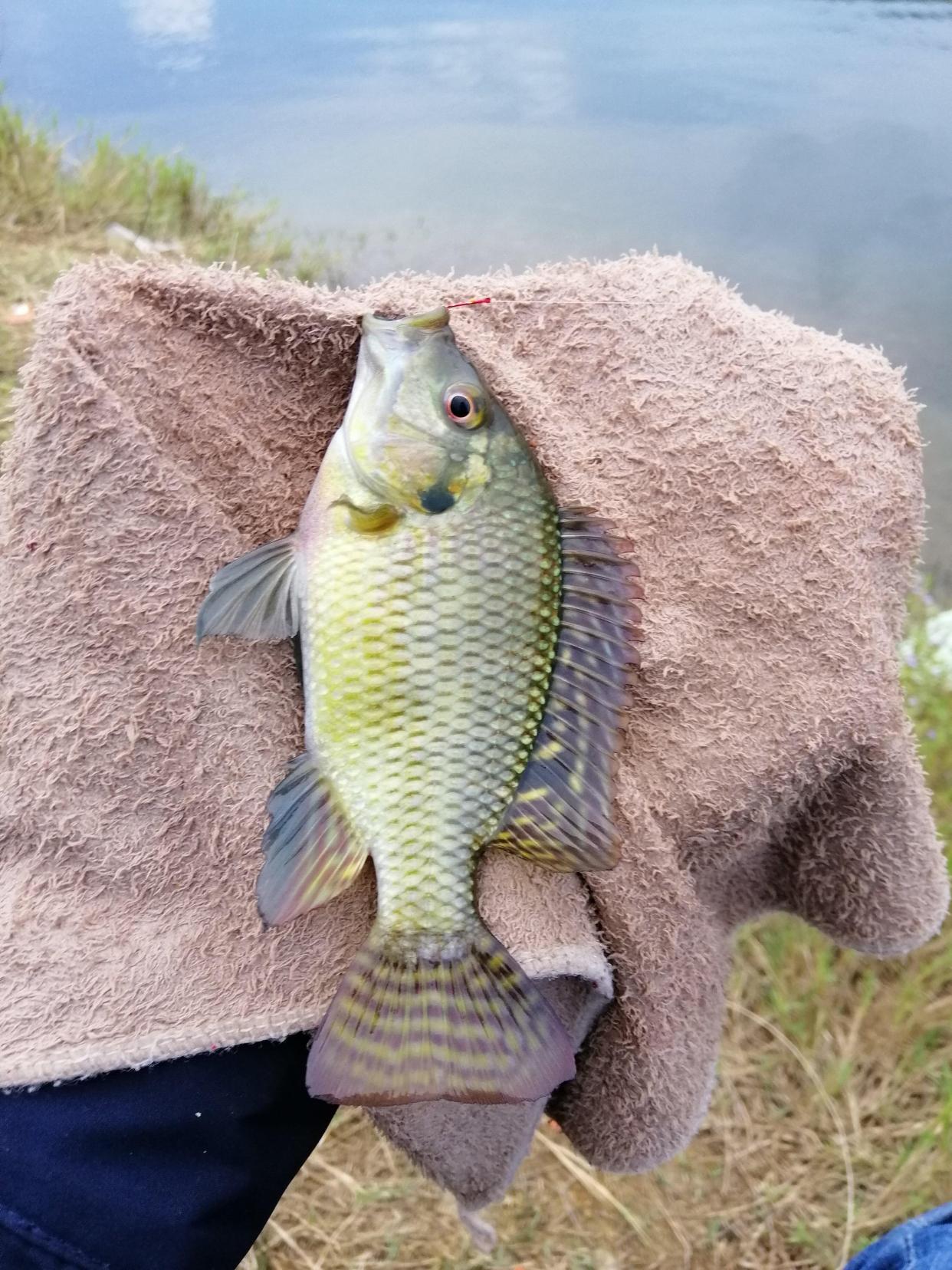 朝聖萬峰湖釣魚一定要設一個目標嗎