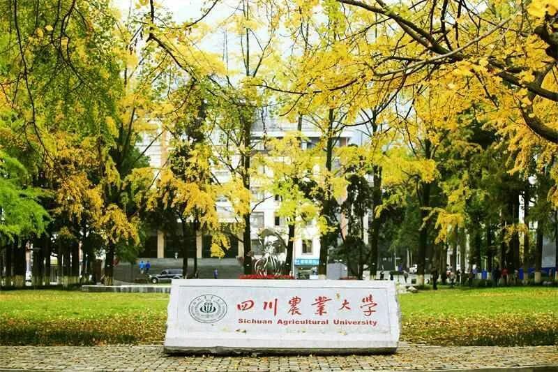 四川农业大学就业最好的专业是什么?这6大专业最具有优势!