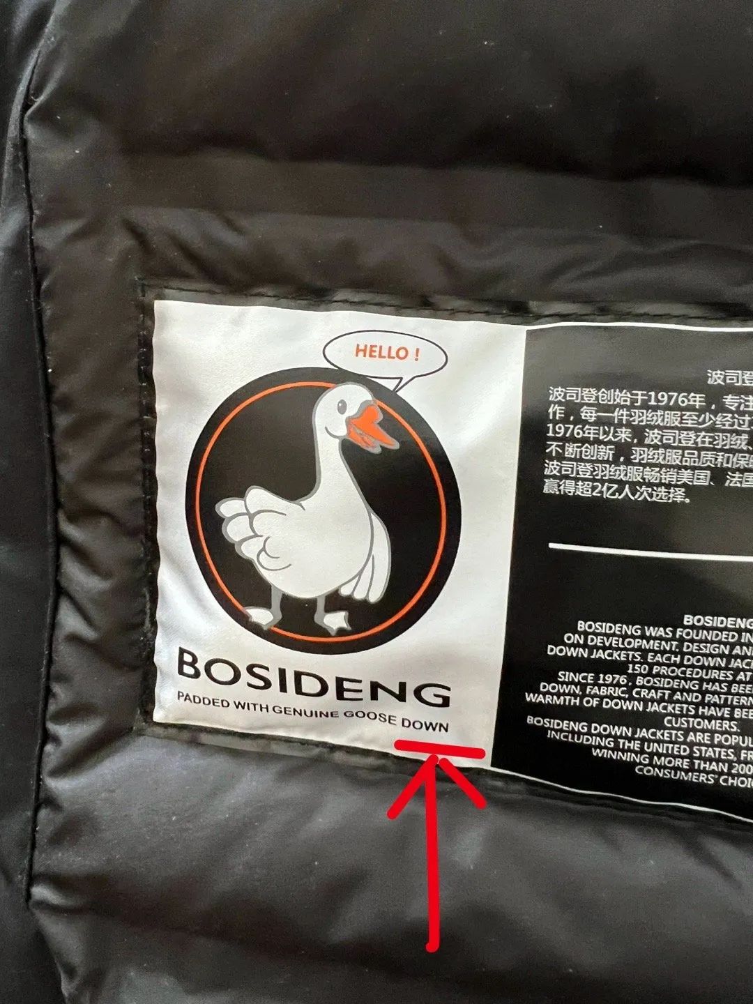 我羽绒服上的"goose down"什么意思?