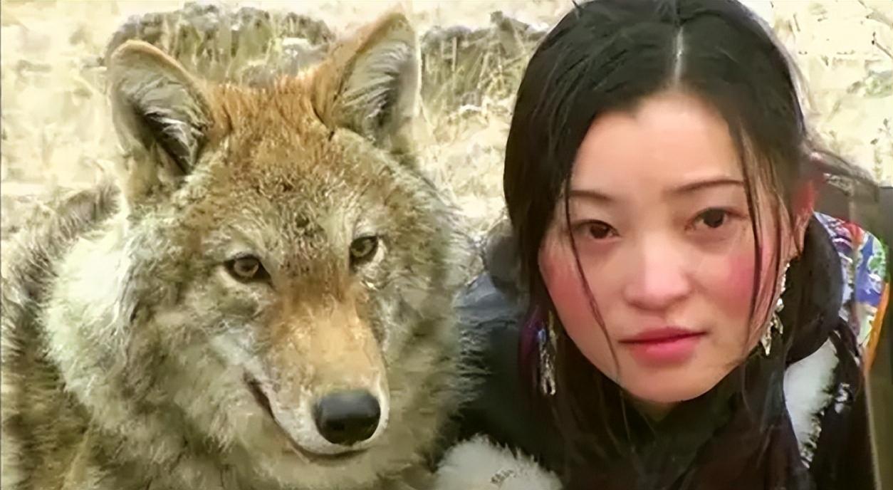 狼是一種桀驁不馴的肉食野生動物,其體內嗜血的野性也遠非人所能馴服