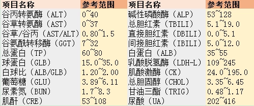 代谢功能损伤:总胆红素,直间接胆红素,尿胆红素,尿胆