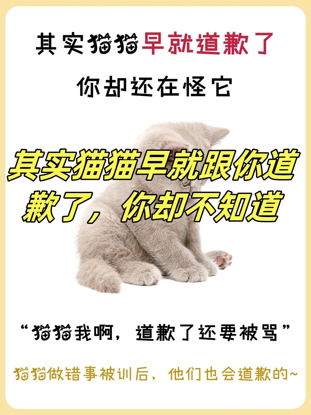 高冷的形象但它们在与主人的互动中其实也会展现出认错和道歉的行为