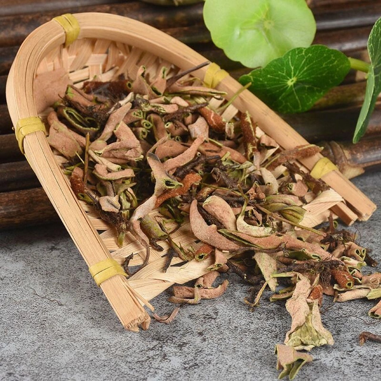 每天认识一种中药材石韦  每天认识一种中药材:中药材是中华医学的