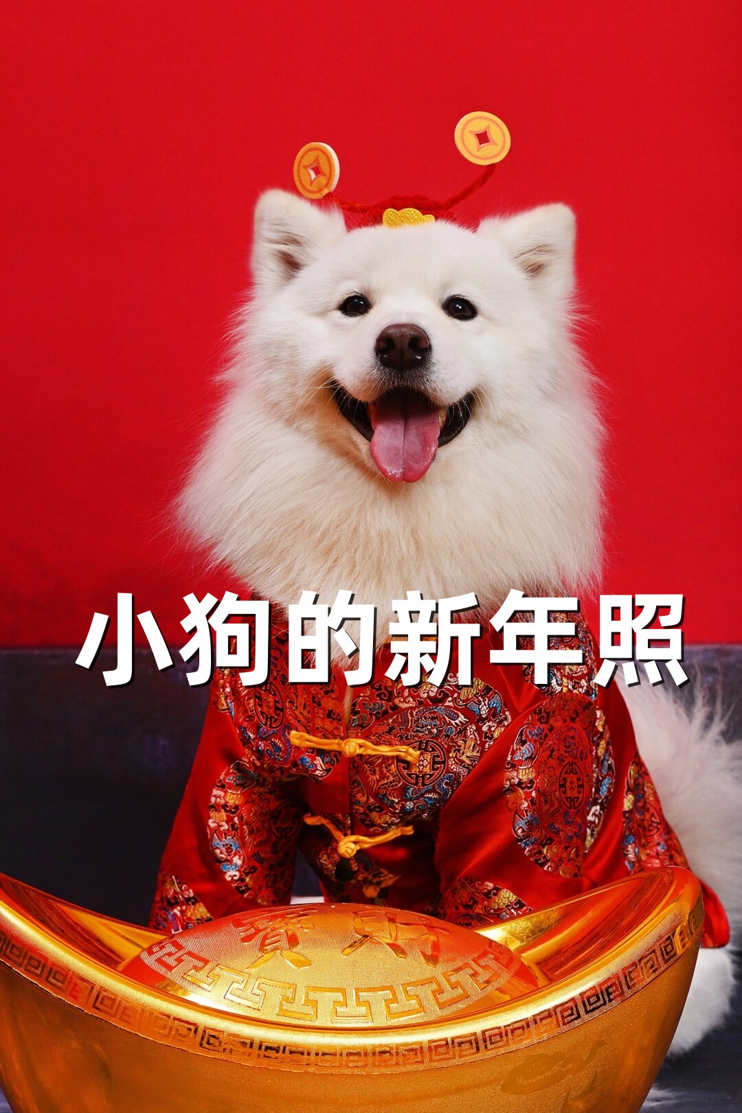 在这个喜庆的时刻,大家都会和家人团聚,共度佳节