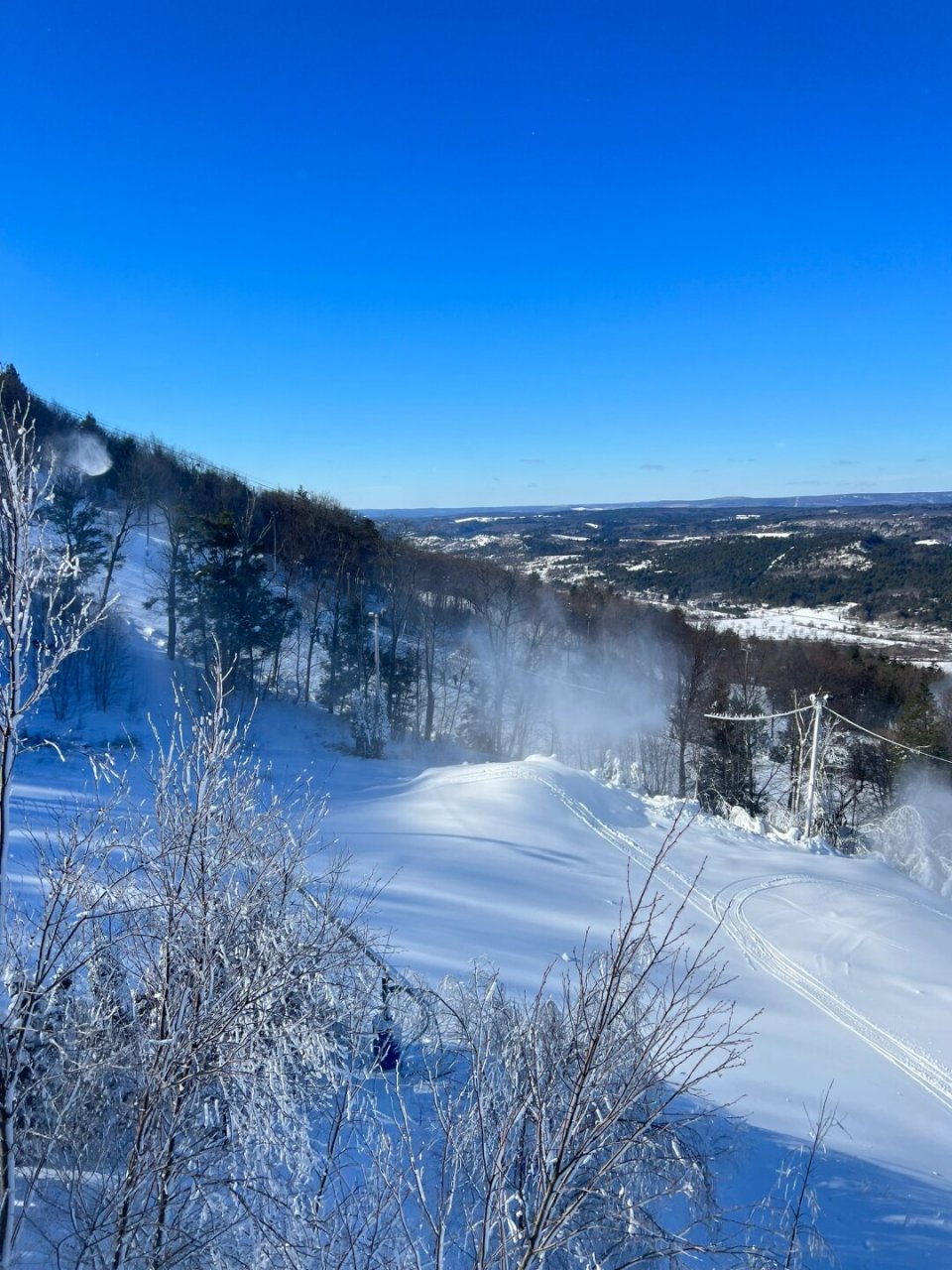 加拿大多伦多滑雪场图片