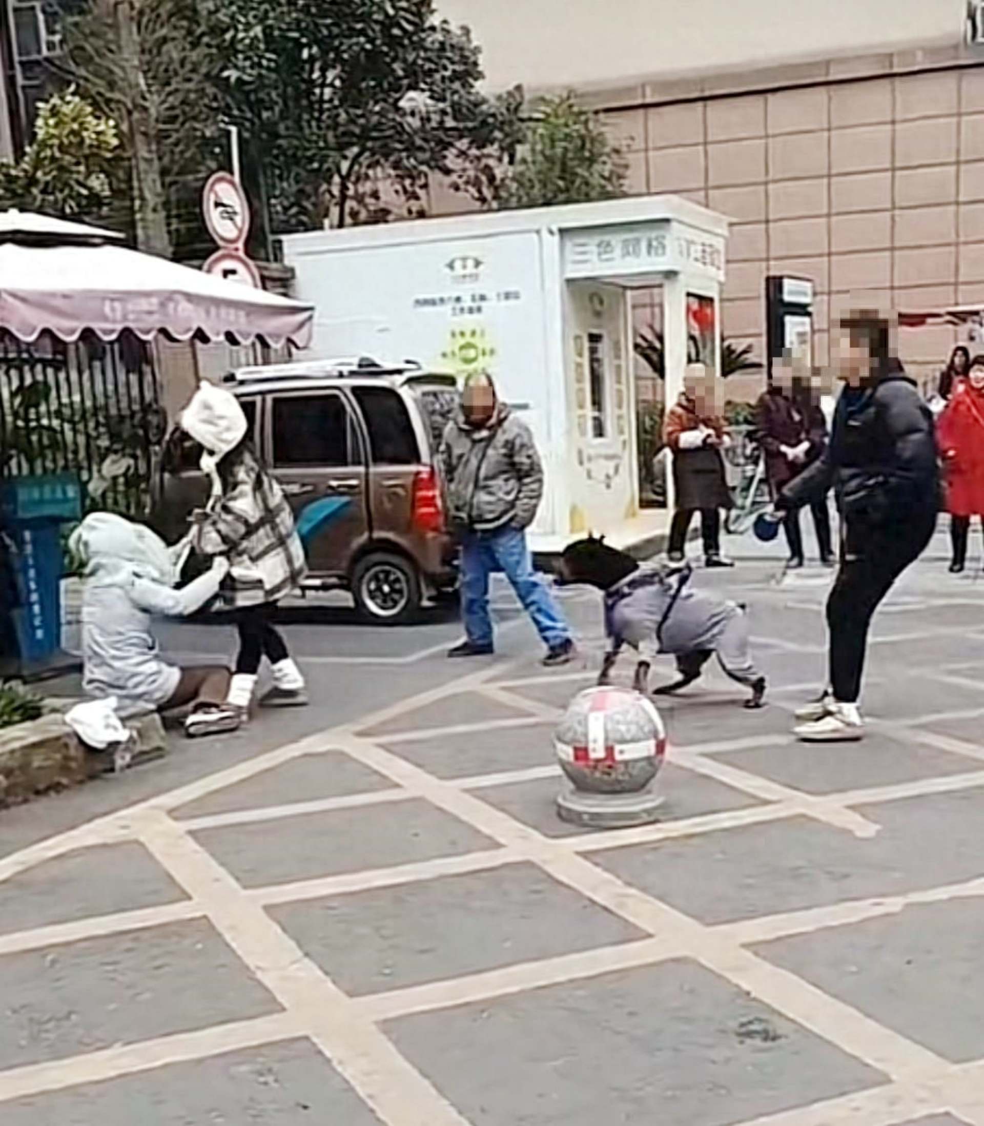 女子遛大型犬吓到路人:狗比你金贵